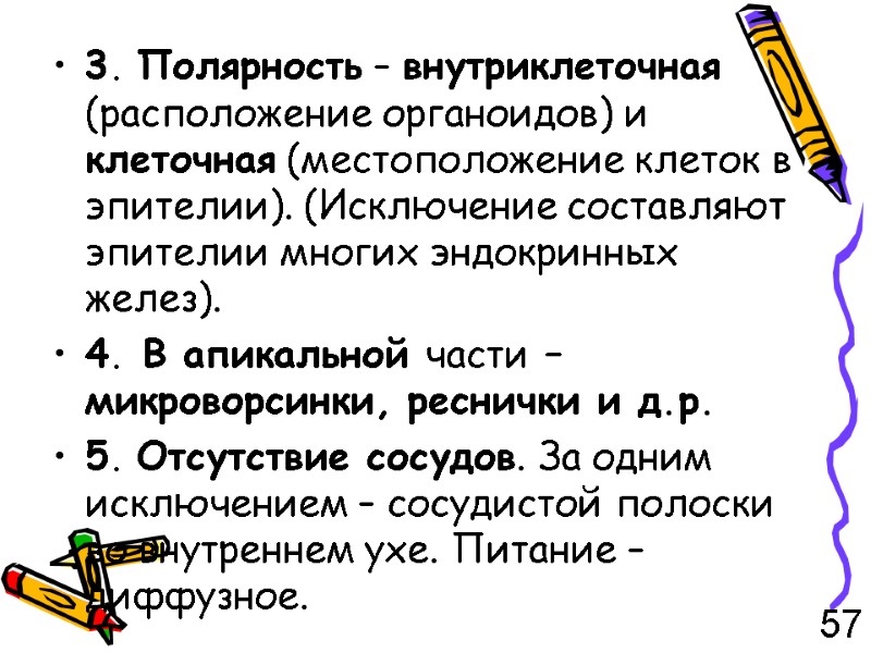 3. Полярность – внутриклеточная (расположение органоидов) и клеточная (местоположение клеток в эпителии). (Исключение составляют